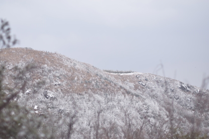 「冷空气来袭，新线首发」1.21/1.25 冰雪道场坪@徒步丈量道场坪：凌绝顶之上、邂逅云海雾凇~