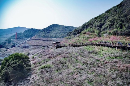 「休闲赏梅」2.21/2.22 原乡小镇@赏梅正当季！打卡众多网红项目、“梅”景与你有约~