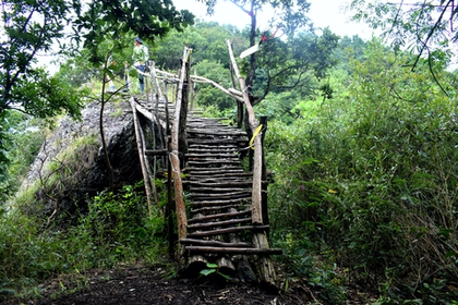 「春日登高」3.7 @诸暨走马岗，闯入千年香榧林，探访精灵之森，原始秘境徒步~
