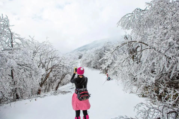 「已成行 少量余位」1.16 龙王山：一起去浙江冬天开始的地方，与冰雪世界不期而遇~