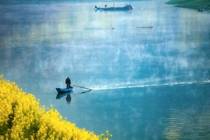 「春天花事，漫步行摄」3.22 安徽歙县新安江畔：漫步于新安江山水画廊，淹没在十里油菜湖田~