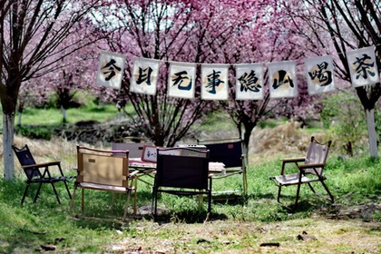 「春天花事」3.14 嵊州赏花徒步：花满嵊州，花香满径，春天花事的徒步饕餮盛宴~