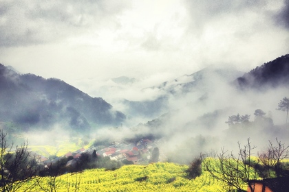「近江上车」4.5@建德胥岭古道：翻阅山岭遇见一片金黄，这里私藏着一份宁静而灿烂的春光~