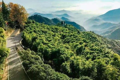 「近江+城西三墩上车」4.4 莫干山@重走莫干山蒋公道，穿越竹海别墅群，探秘举世闻名的避世圣地~