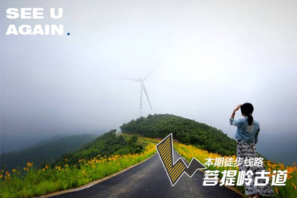 「近江上车」4.25/5.5 徒步菩提岭古道，漫步醉美风车公路，放逐于宁波香格里拉~