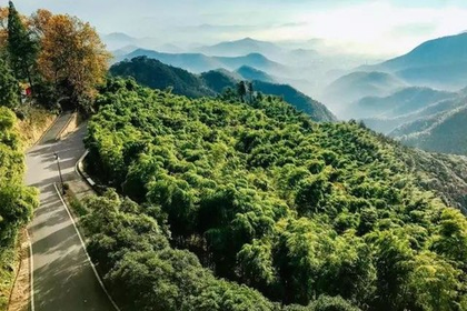 「近江+城西三墩上车」5.4 莫干山@重走莫干山蒋公道，穿越竹海别墅群，探秘举世闻名的避世圣地~