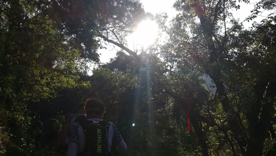 IMG_20180401_080248_1