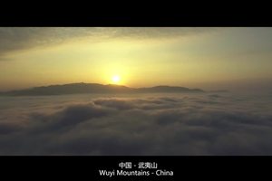 2016大武夷超级山径赛官方视频