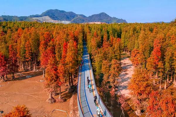 中秋「地铁出行」9月11日 青山湖环湖毅行·奖牌·头巾·徽章，一半山景一半湖色，如梦如幻（精华版约12公里）