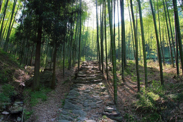 「杭宣古道」6月19日 寻幽杭宣古道独松关，探访千年古刹釜托寺（约12公里）