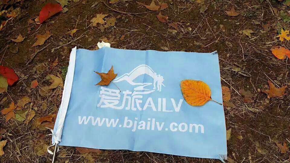 QQ图片20161209210706