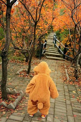 QQ图片20161209210721