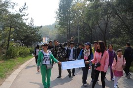 QQ图片20161209211115