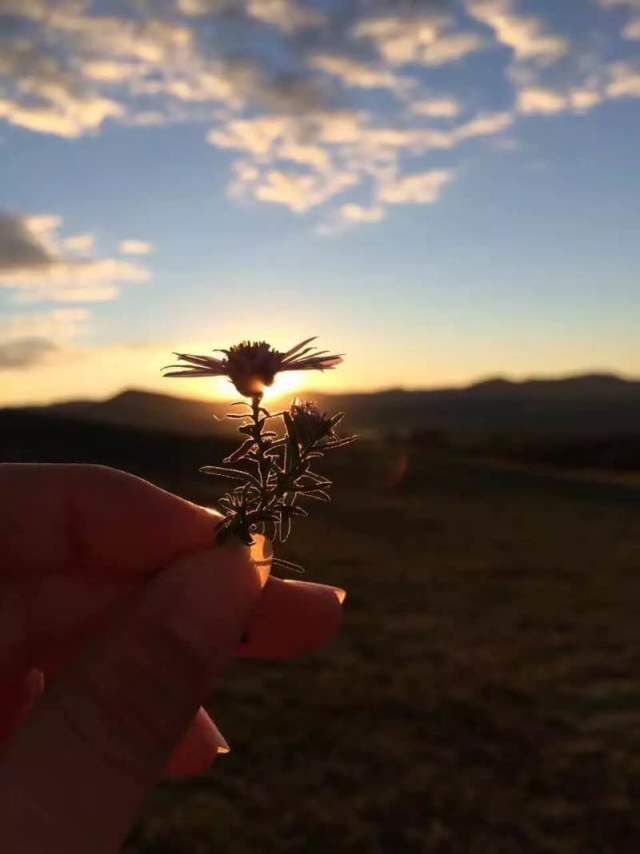 QQ图片20161209211835