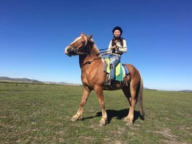 QQ图片20161209211849