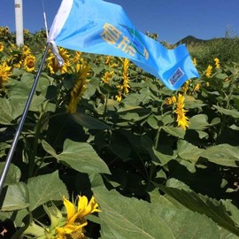 QQ图片20161209211943