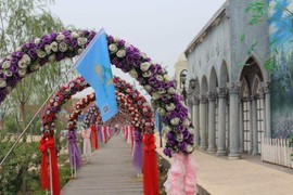 QQ图片20161209212258