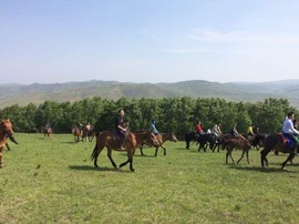 QQ图片20161209215642