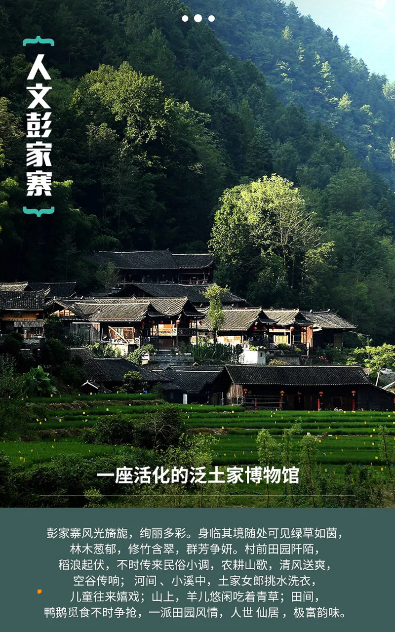 c7fba8ef0fb32d0407d5cae5f8f5c9b7-sz_1035851.webp.jpg
