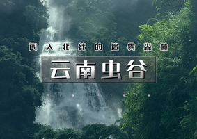 春节7天｜火车•云南虫谷｜哀牢山秘境徒步の翁丁原始部落-西盟龙摩爷-勐梭龙潭-老达保-景迈山古茶园…7天6日边境探索之旅