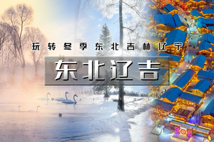 春节5天｜又见•东北辽吉｜玩转冬季东北吉林辽宁の查干湖冬捕-知北村-雾凇岛-朝阳天鹅湾-长春冰雪新天地-奉国寺 