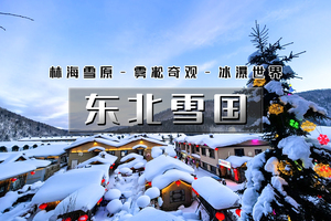 春节6天｜又见•东北雪国｜【北京大巴直发】雾凇岛-雪乡-雪谷-林海雪原穿越-威虎山-哈尔滨冰雪大世界 