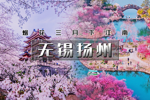 清明3天｜印象•无锡扬州｜烟花三月下江南の兴化油菜花海-李中水上森林-瘦西湖-何园-鼋头渚樱花-个园-无锡古运河