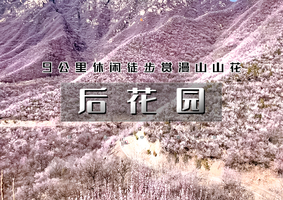 1日｜又见•后花园｜漫山芬香北京后花园の燕平八景-神岭千峰-虎峪辉金9公里徒步赏山花