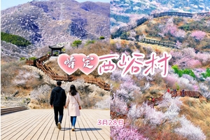前百人特价78！3.28周六『情定•西峪村』｜200人超大户外单身交友｜相约西峪春日-与桃花同开的缘分