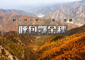 国庆4天｜印象•呼包鄂金秋4天｜穿行塞北山河の大漠落日-黄河大湾-胡杨白桦林-草原故宫小布达拉宫
