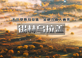 国庆4天｜印象•锡林乌拉盖｜驰骋锡林郭勒大草原-打卡99号网红公路-寻火山石林沙湖秘境