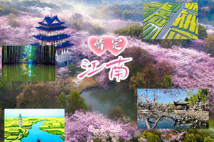 清明3天【升级豪华大巴】『情定•江南』单身相约无锡兴化｜鼋头渚樱花-拈花湾-蠡园桃花-兴化油菜花｜陆地头等舱大巴 可半躺
