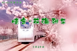 3.29周日『情定•花海列车』｜单身相约开往春天的列车，开向你的山海 ｜登天下第一雄关 览居庸叠翠
