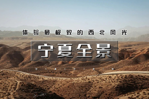 五一5天 ｜宁夏全景｜宁夏环线の贺兰山岩画-镇北堡西部影城-西夏王陵-黄河双绝沙坡头-66号公路-青铜峡-水洞沟 