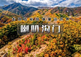 1日｜印象•喇叭沟门｜穿越原始森林の走进五彩斑斓童话世界-探寻北京最美秋色 