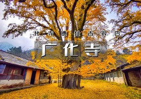 1日｜徒个•广化寺｜鲜为人知广化寺の京门铁路-广化寺-西山古道-琉璃渠10公里徒步&大觉寺赏枫叶和千年古银杏树