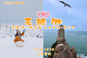 早鸟立省100！元旦3日《爱在•天鹅湖》百名83-05单身专线｜遇见天鹅湖-烟墩角-青州古城-成山头｜亚洲最大天鹅过冬地