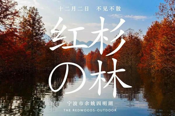 还记得四明湖畔的红杉林吗？周六小姐姐带你去赏十里红杉呀！