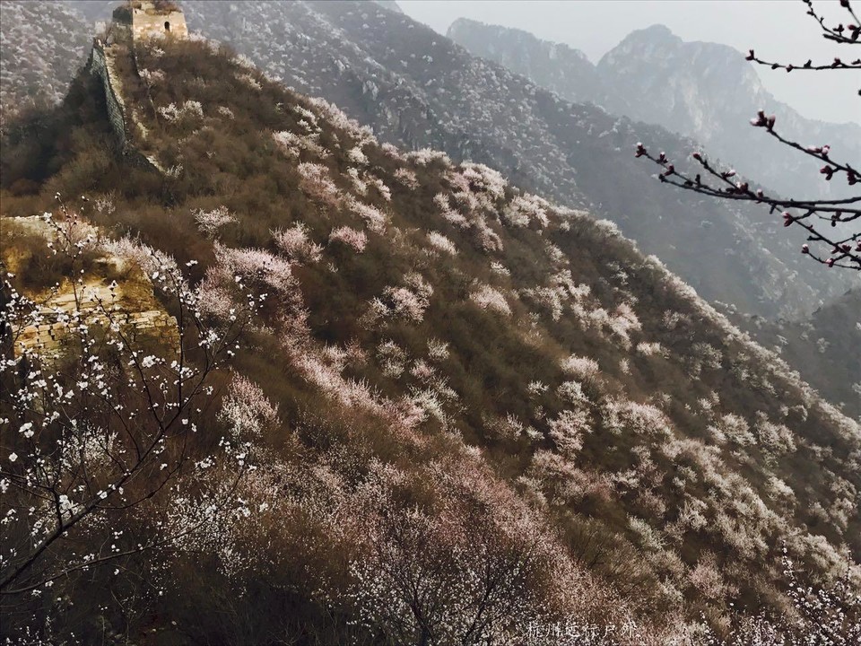 微信图片_20170406234851