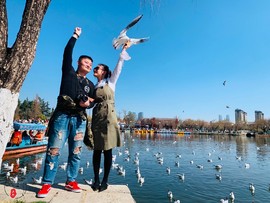 1FC437C9-0C9D-4FB4-96AB-BF9286C0D1CC