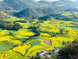 35E85421-1DE3-409D-9935-76EDAF0E6902