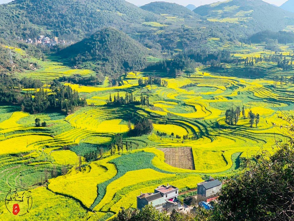 35E85421-1DE3-409D-9935-76EDAF0E6902