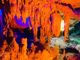 12F108C1-1041-44BB-878B-C0E58364E71A