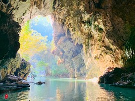 1A3266E0-F6E8-4BF5-8FF5-758F06BD5F49