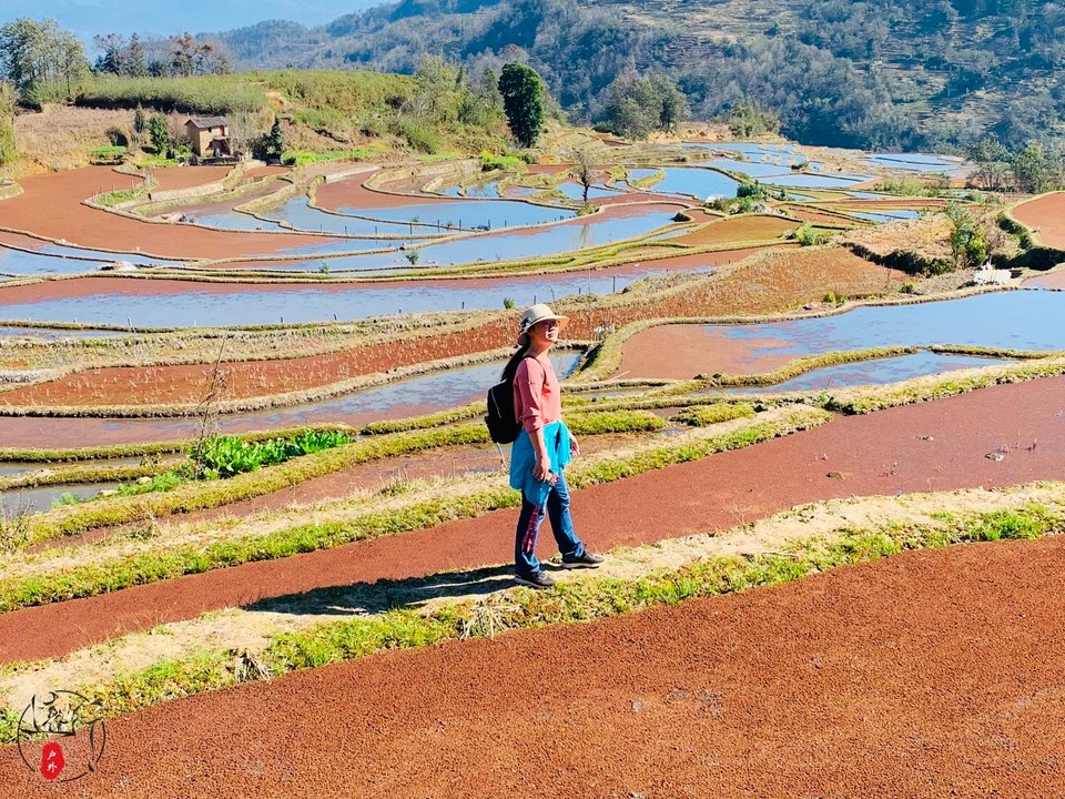 B3B7E7E3-60EC-4DC2-8AAC-76D87AFC2A68