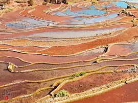 4672FADB-750E-4E11-80A2-62A6B73454AF