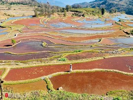 CC928939-5F79-41B9-93D6-4B94DDB5A52A