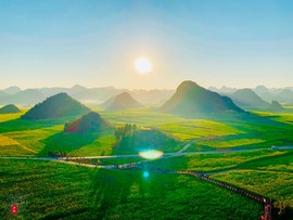 6339266B-2520-4CEF-84BD-5CC0449015CE