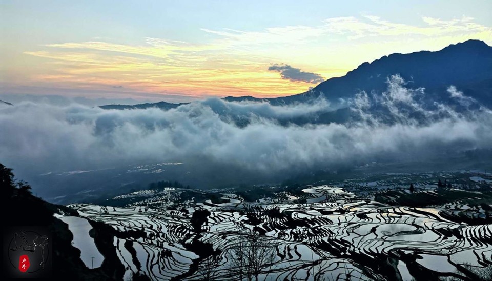 DD229E04-195F-4E85-B78D-0089A7A111FF