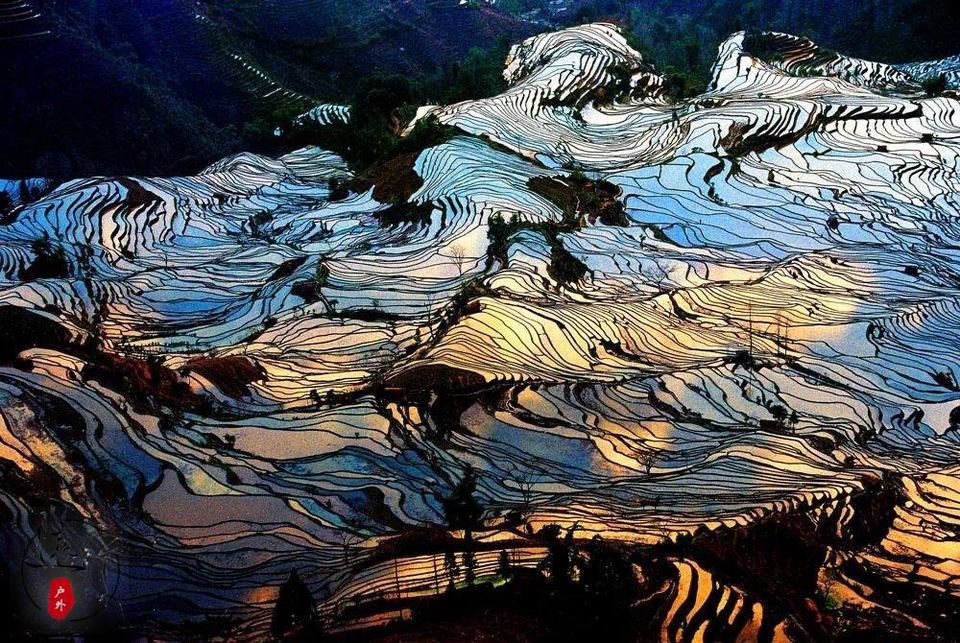 46FDF0F4-E845-4559-AE5E-F1DFE3446A13